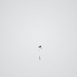 2013 Suche 29062013 Michal